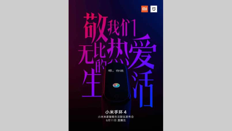 Xiaomi Mi Band 4 Intext